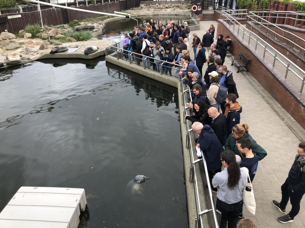 Scientific excursion to the Hel Marine Station for marine mammals, with lecture 